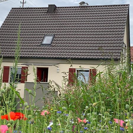 Ferienhaus Bei Lauingen, Mit Sauna Und Gartenlounge Veitriedhausen ภายนอก รูปภาพ