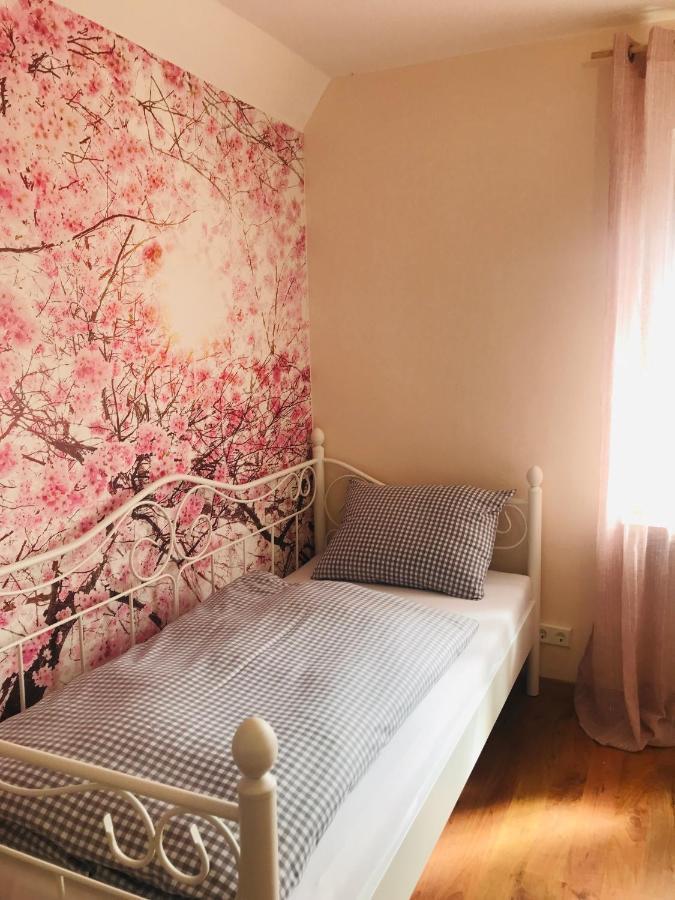 Ferienhaus Bei Lauingen, Mit Sauna Und Gartenlounge Veitriedhausen ภายนอก รูปภาพ