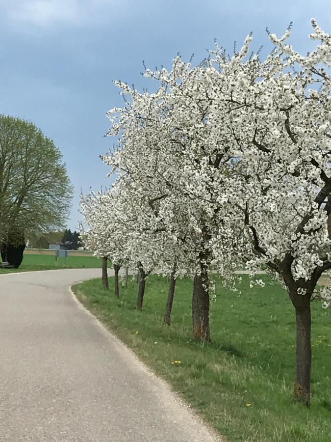 Ferienhaus Bei Lauingen, Mit Sauna Und Gartenlounge Veitriedhausen ภายนอก รูปภาพ