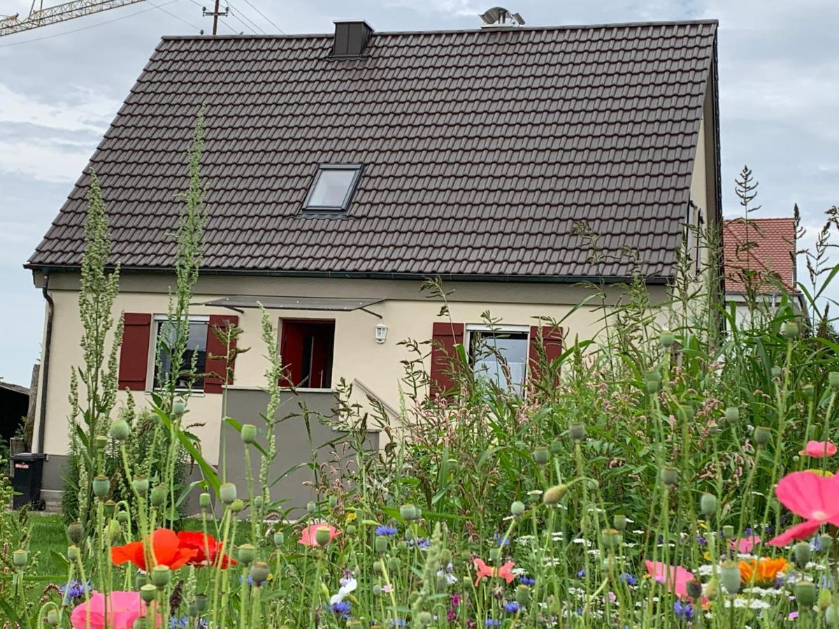 Ferienhaus Bei Lauingen, Mit Sauna Und Gartenlounge Veitriedhausen ภายนอก รูปภาพ
